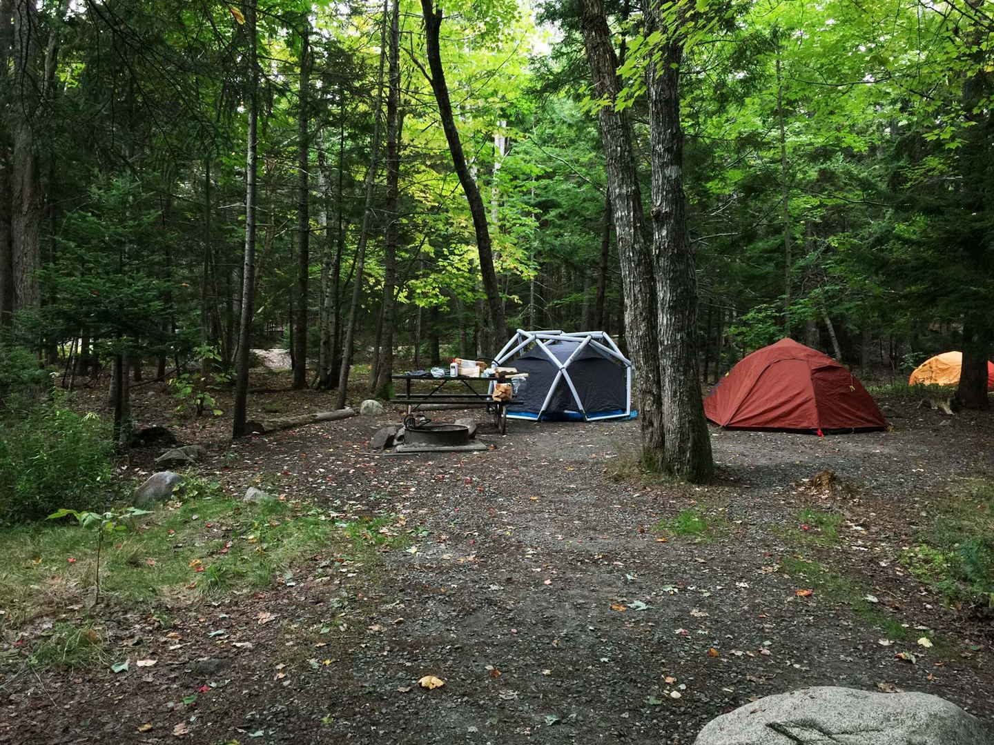 Camping in Acadia National Park