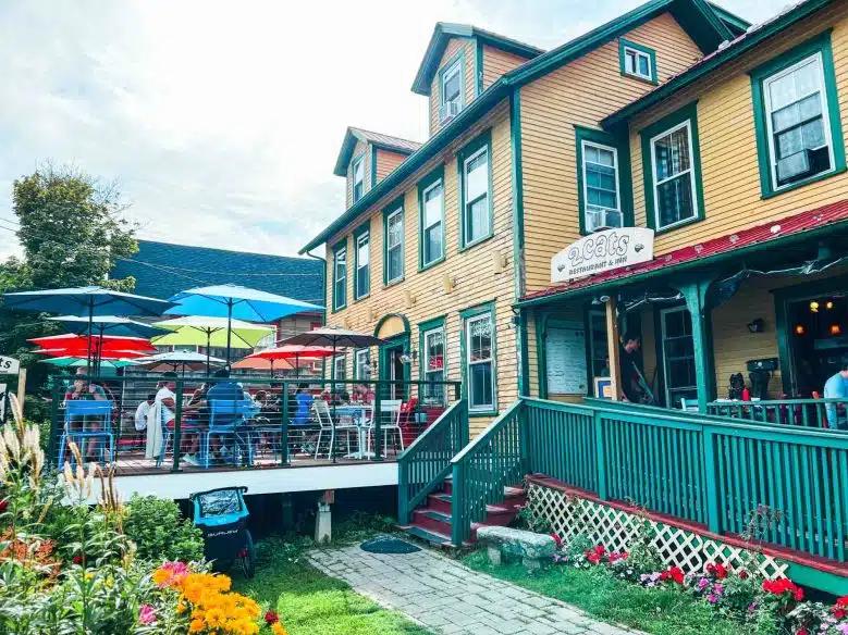 2 Cats in Bar Harbor, Maine