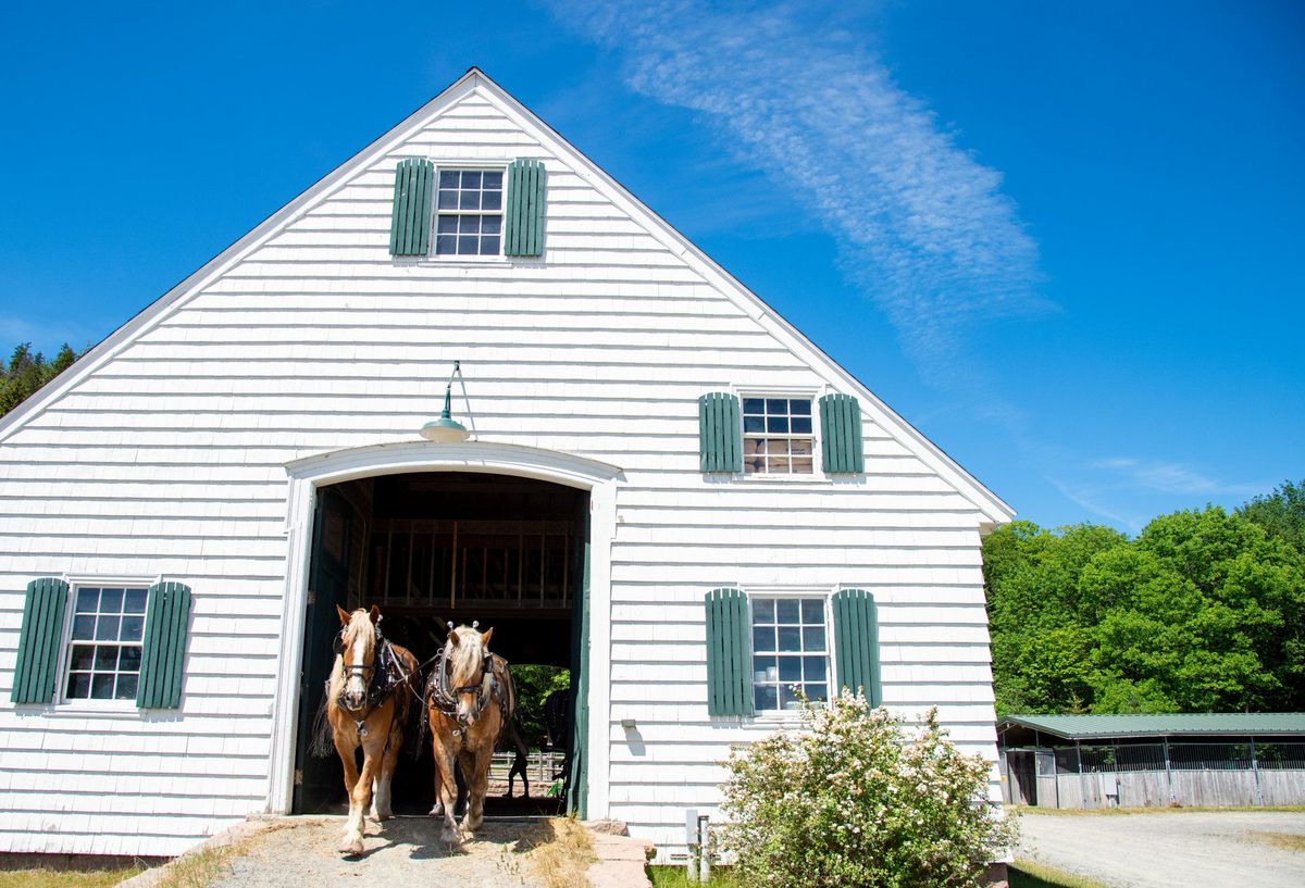 Horse-drawn carriage at Wildwood Stables in Acadia