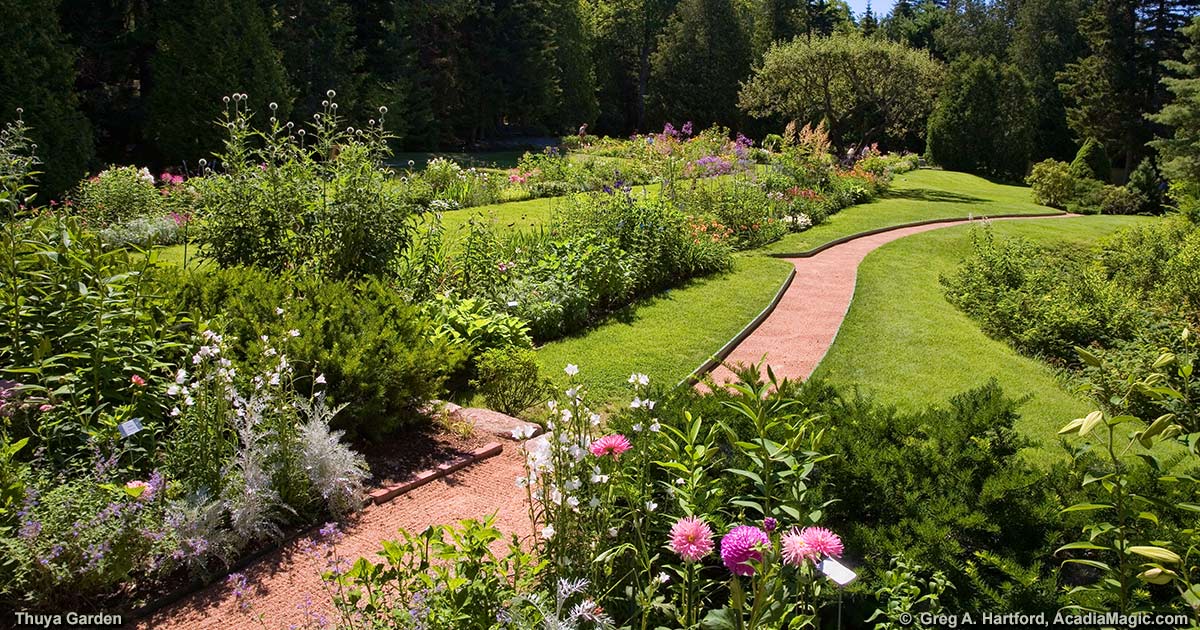 Thuya Garden on Mount Desert Island