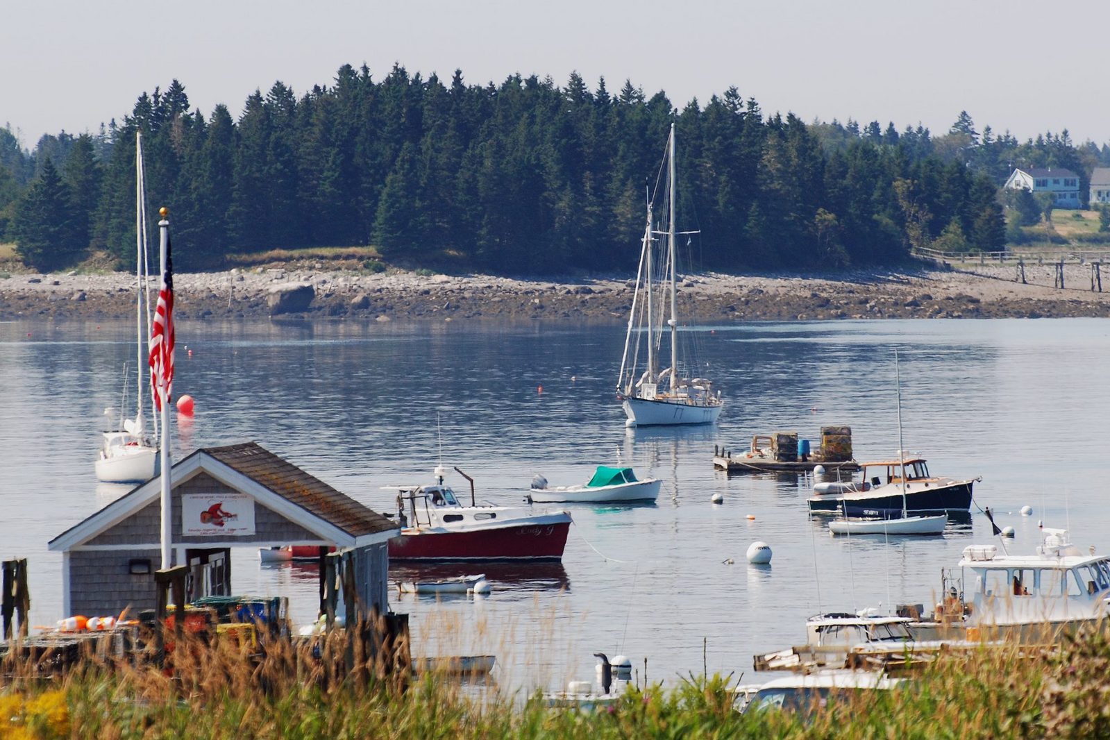 Island ferry landing on the Maine coast