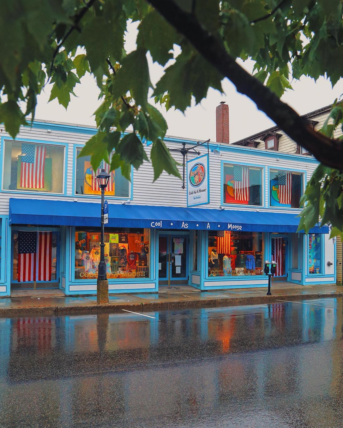Cool As A Moose in Bar Harbor, Maine