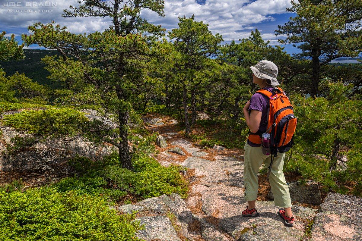 Scenery along Acadia Mountain Loop in Acadia National Park