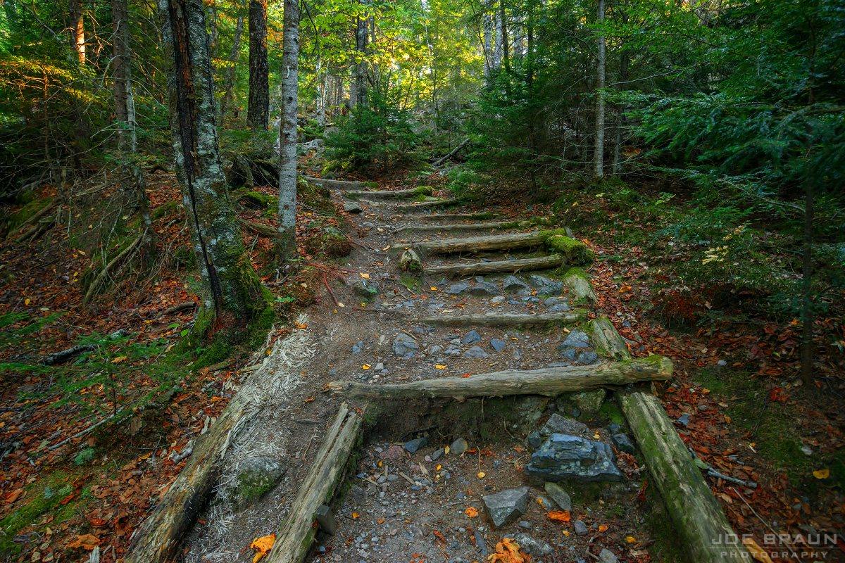 Scenery along Beech Mountain Loop in Acadia National Park