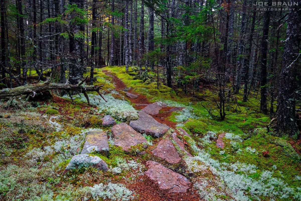 Scenery along Bowditch Trail in Acadia National Park
