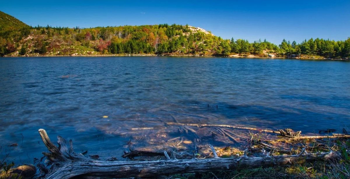 Scenery along Bowl Trail in Acadia National Park
