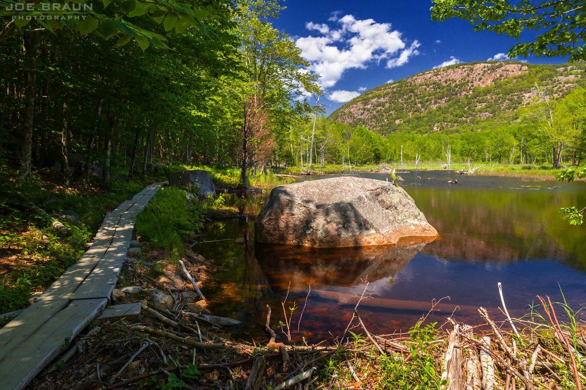 Scenery along Canon Brook Trail in Acadia National Park
