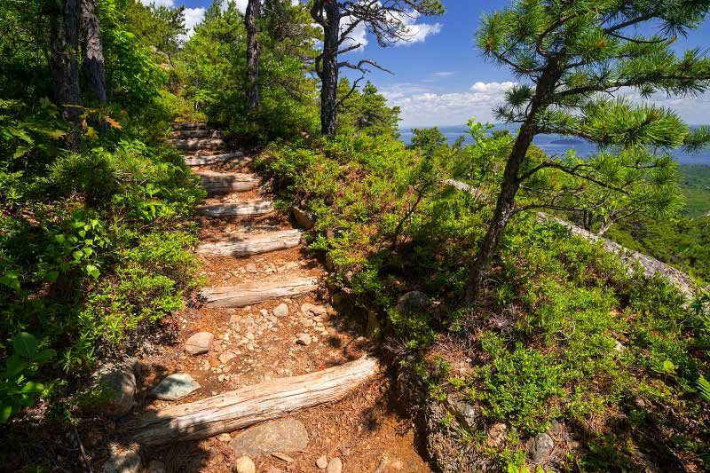 Scenery along Dorr Mountain Ladder Trail in Acadia National Park