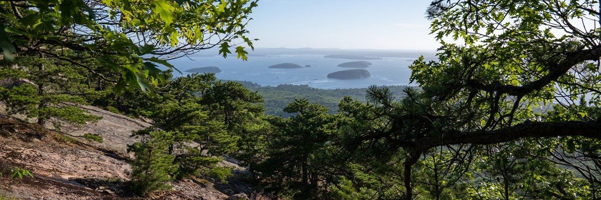 Scenery along Dorr Mountain South Ridge in Acadia National Park