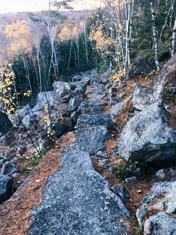 Scenery along Homans Path in Acadia National Park
