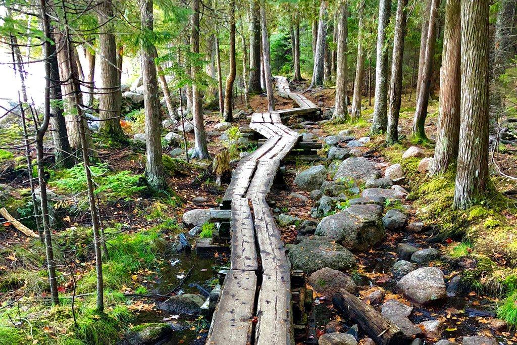Shoreline along Jordan Pond