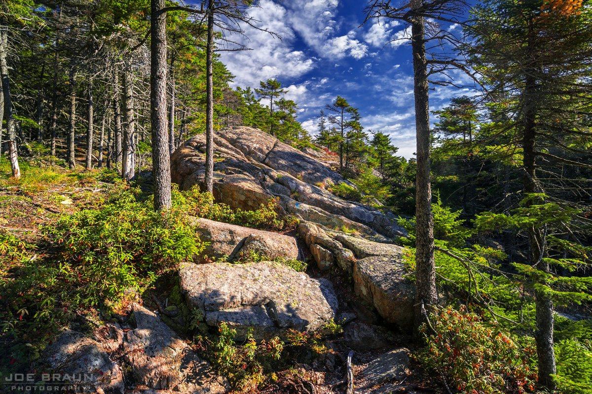 Scenery along Mansell Mountain Loop in Acadia National Park