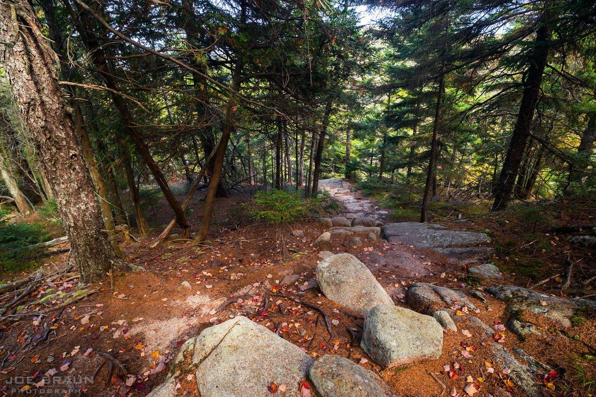 Scenery along Pemetic Mountain Loop in Acadia National Park
