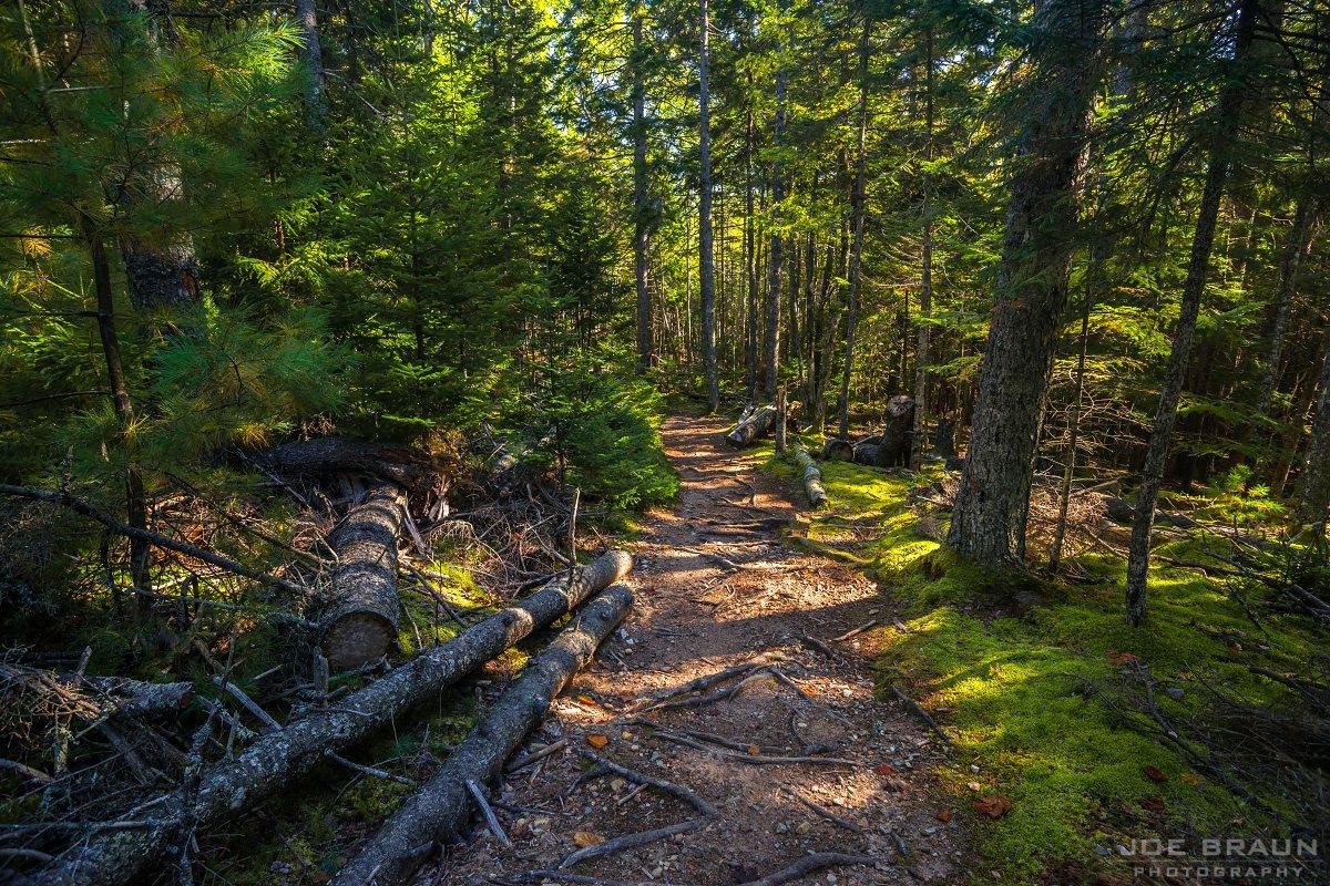 Scenery along Perpendicular Trail in Acadia National Park