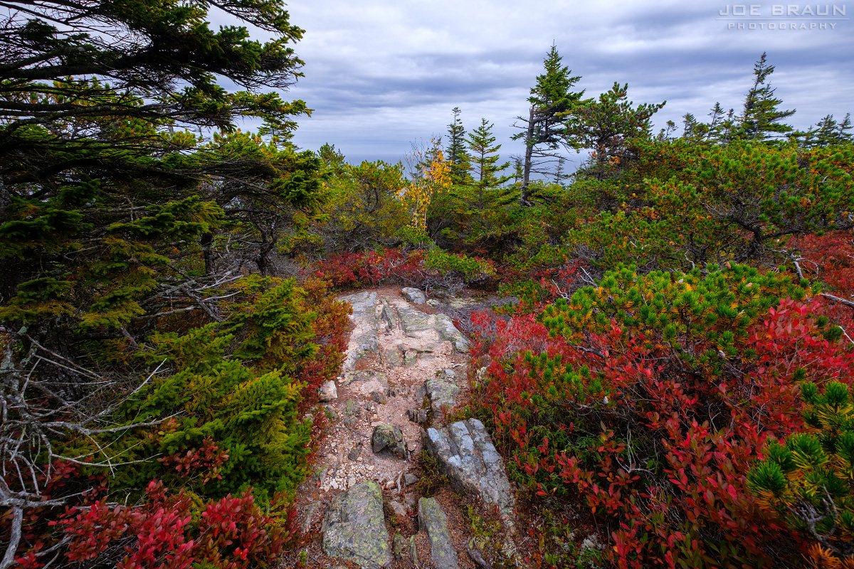 Quieter forest and granite on Schoodic Peninsula