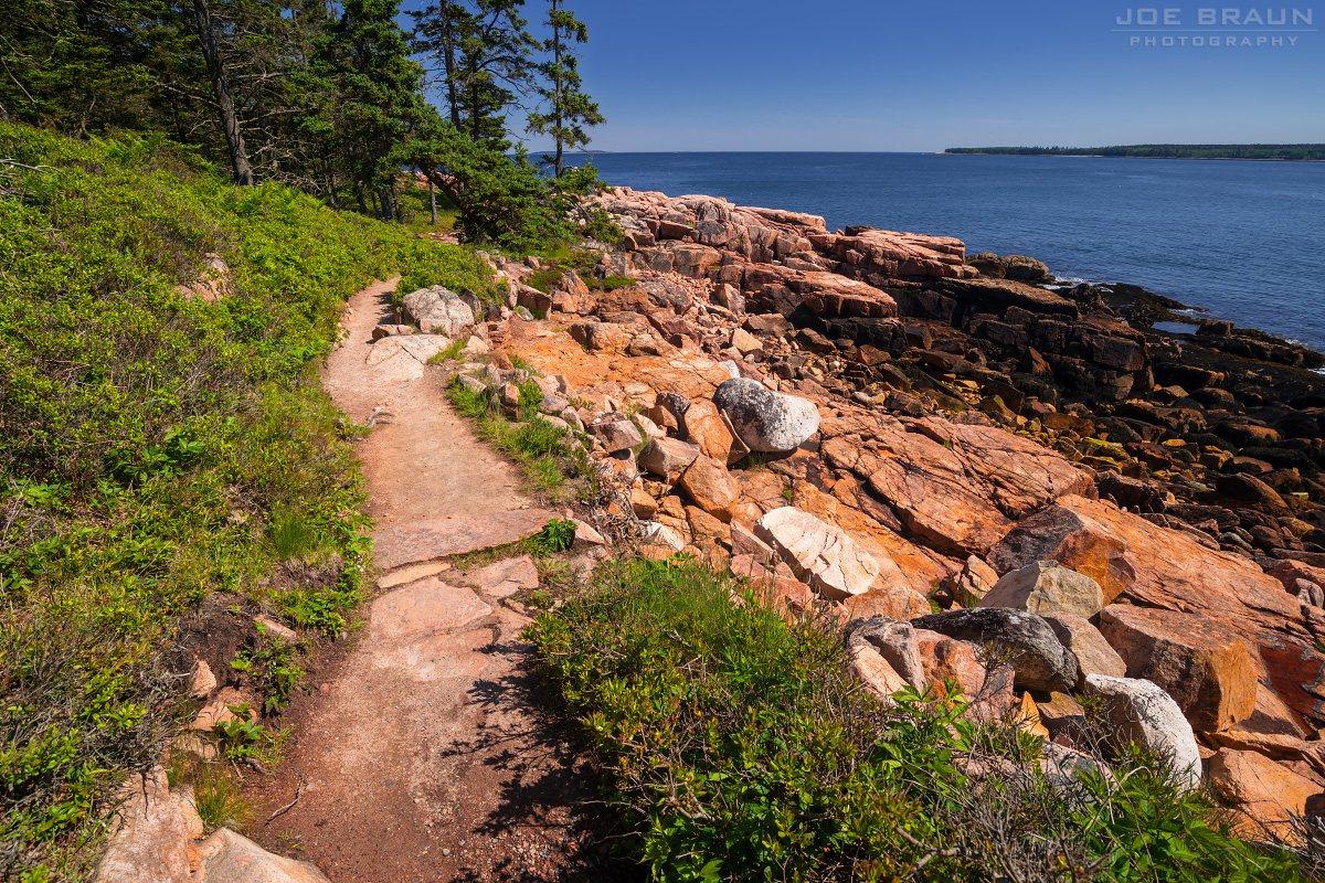 Scenery along Ship Harbor Trail in Acadia National Park