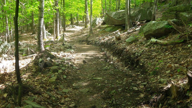 Scenery along Strath Eden Path in Acadia National Park